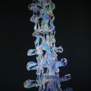 Iron Fist Spineless Blouse - RARE Iridescence